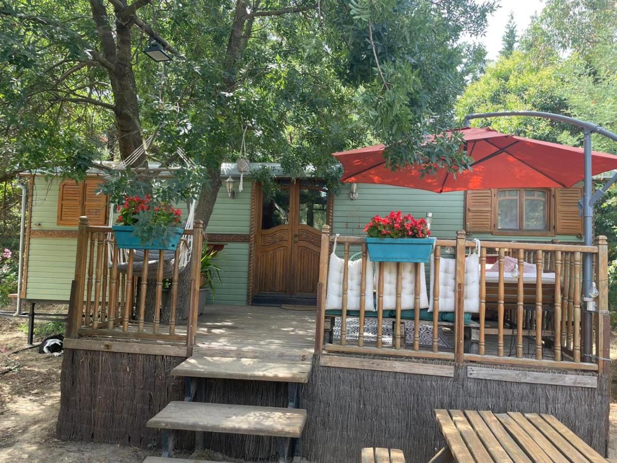 Maison d'hôtes Roulotte en bois Sud France à Le Soler Extérieur photo