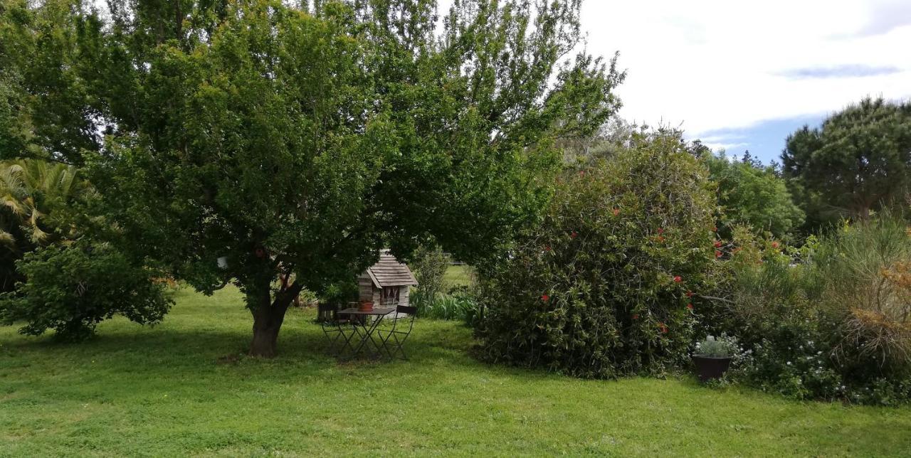 Maison d'hôtes Roulotte en bois Sud France à Le Soler Extérieur photo