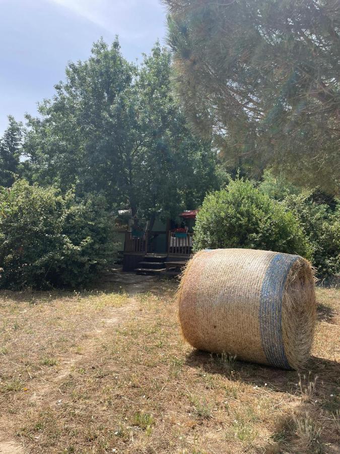 Maison d'hôtes Roulotte en bois Sud France à Le Soler Extérieur photo