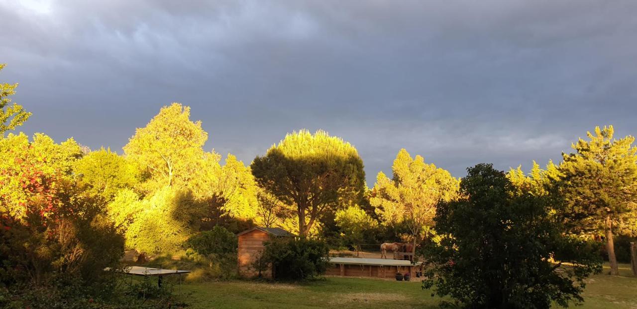Maison d'hôtes Roulotte en bois Sud France à Le Soler Extérieur photo