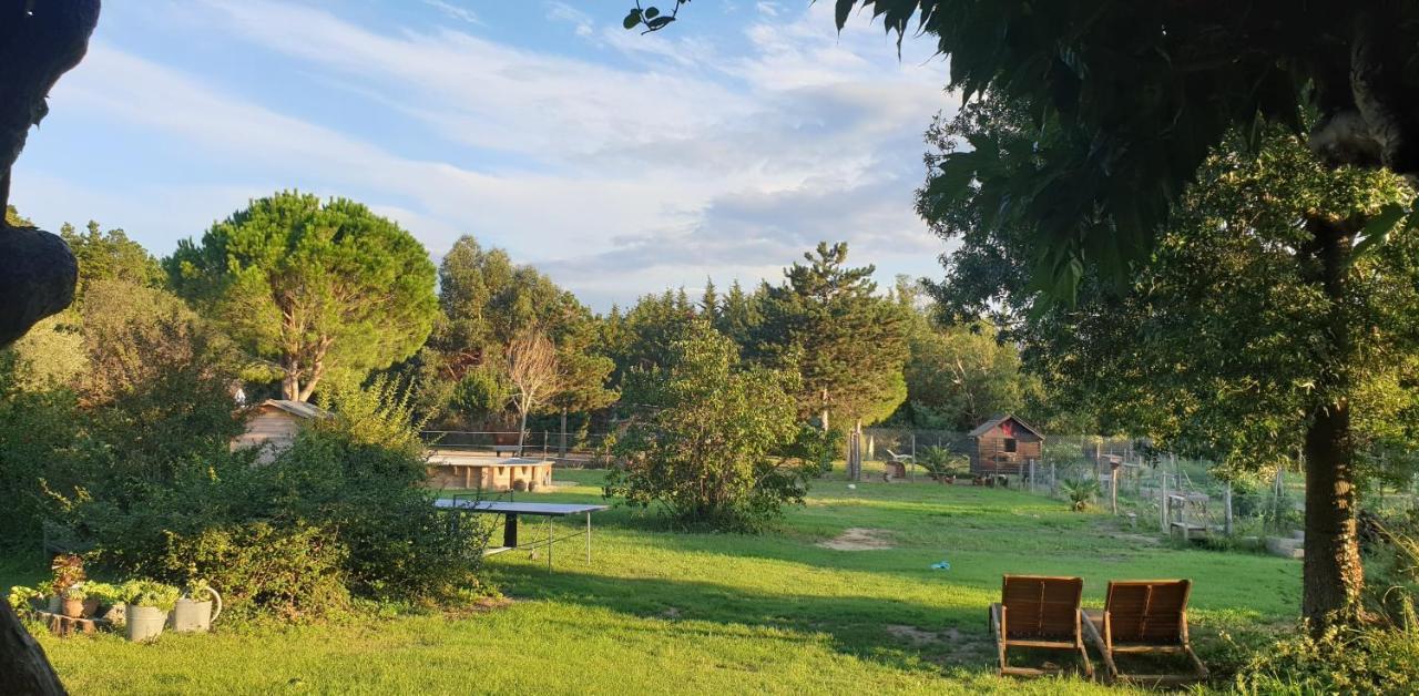 Maison d'hôtes Roulotte en bois Sud France à Le Soler Extérieur photo